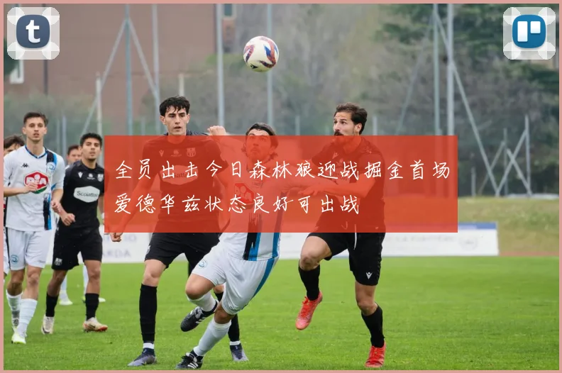全员出击今日森林狼迎战掘金首场爱德华兹状态良好可出战